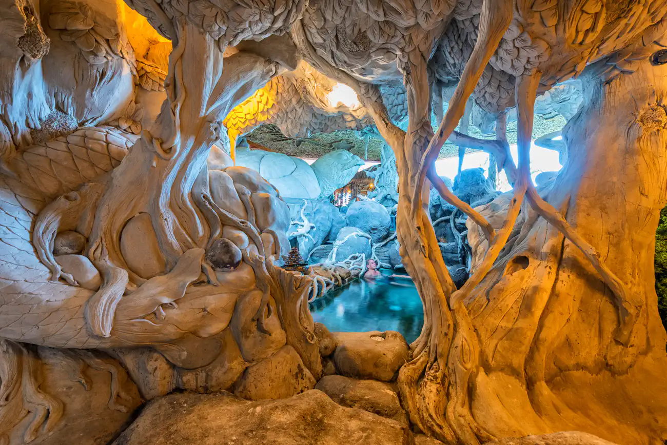 Nature Yoga Vedic Trails